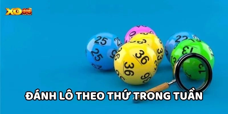 Sai lầm nên tránh khi Đánh Lô Theo Thứ Trong Tuần